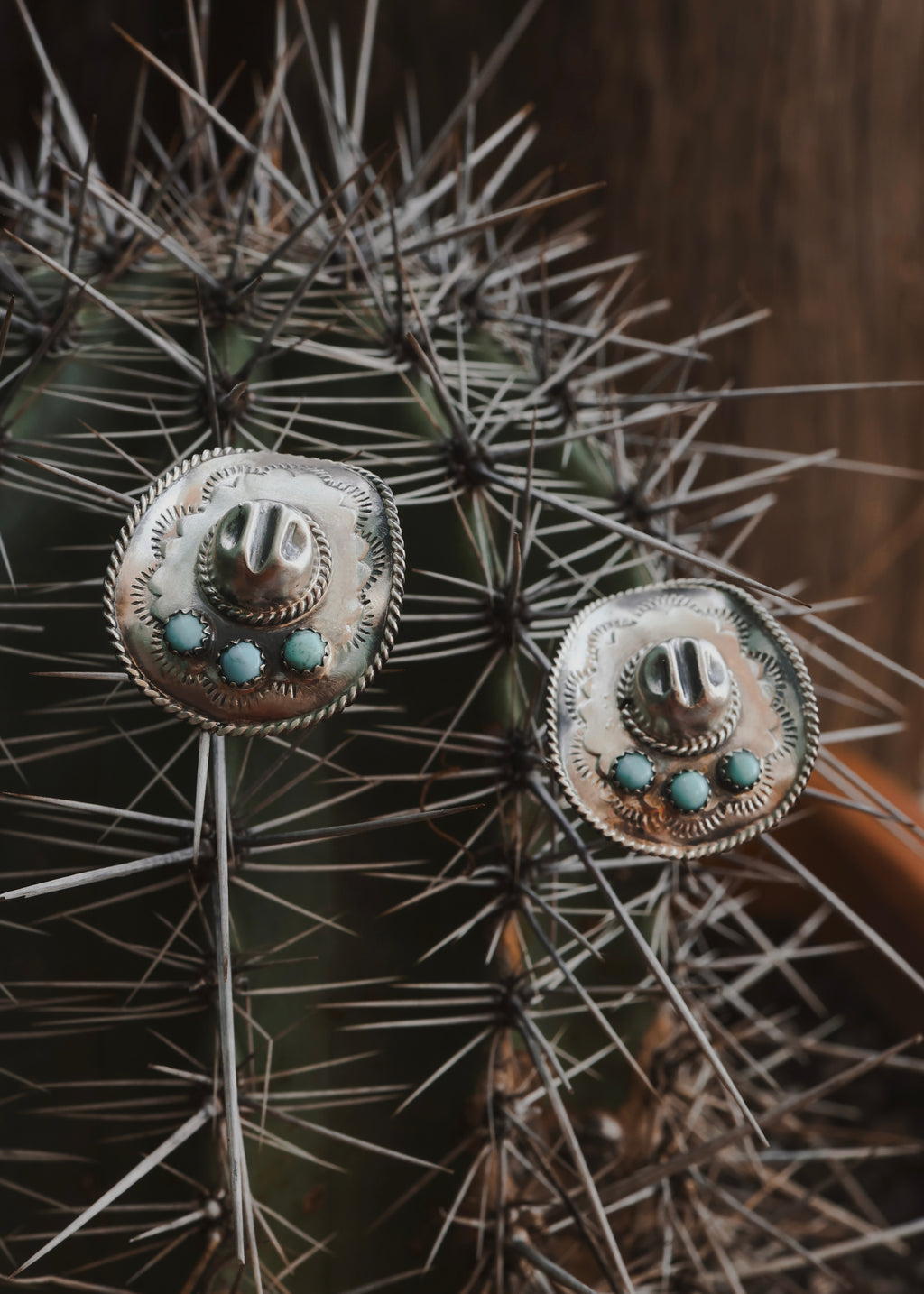 Western Legacy Earrings