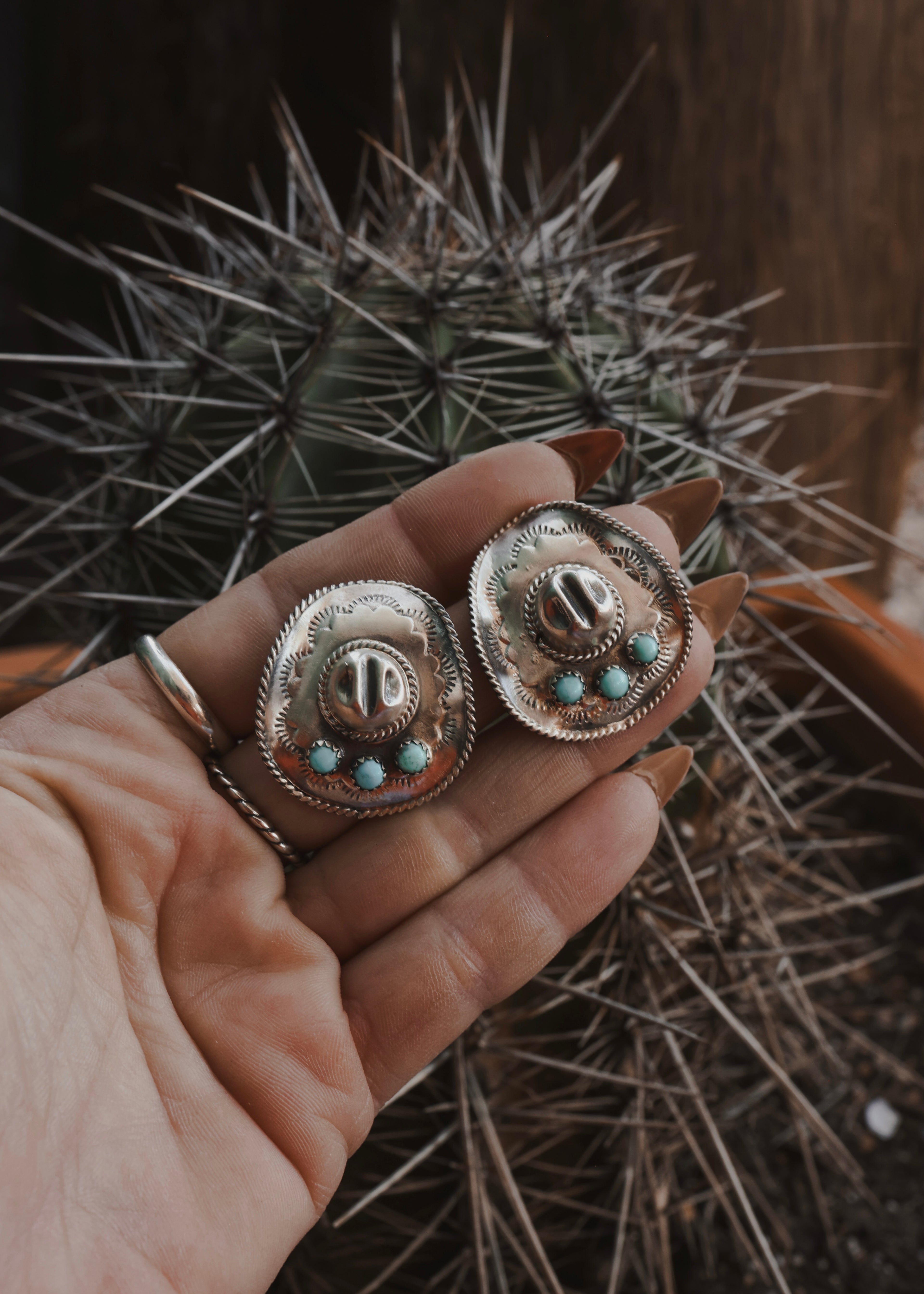 Western Legacy Earrings